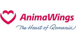 Animawings 
